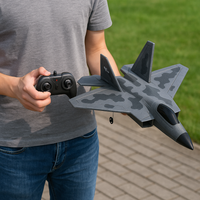 RC Flugzeug mit Fernsteuerung - Militär Look